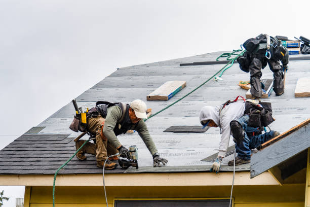Professional Gutter Installation technician working in Grand Ledge, MI